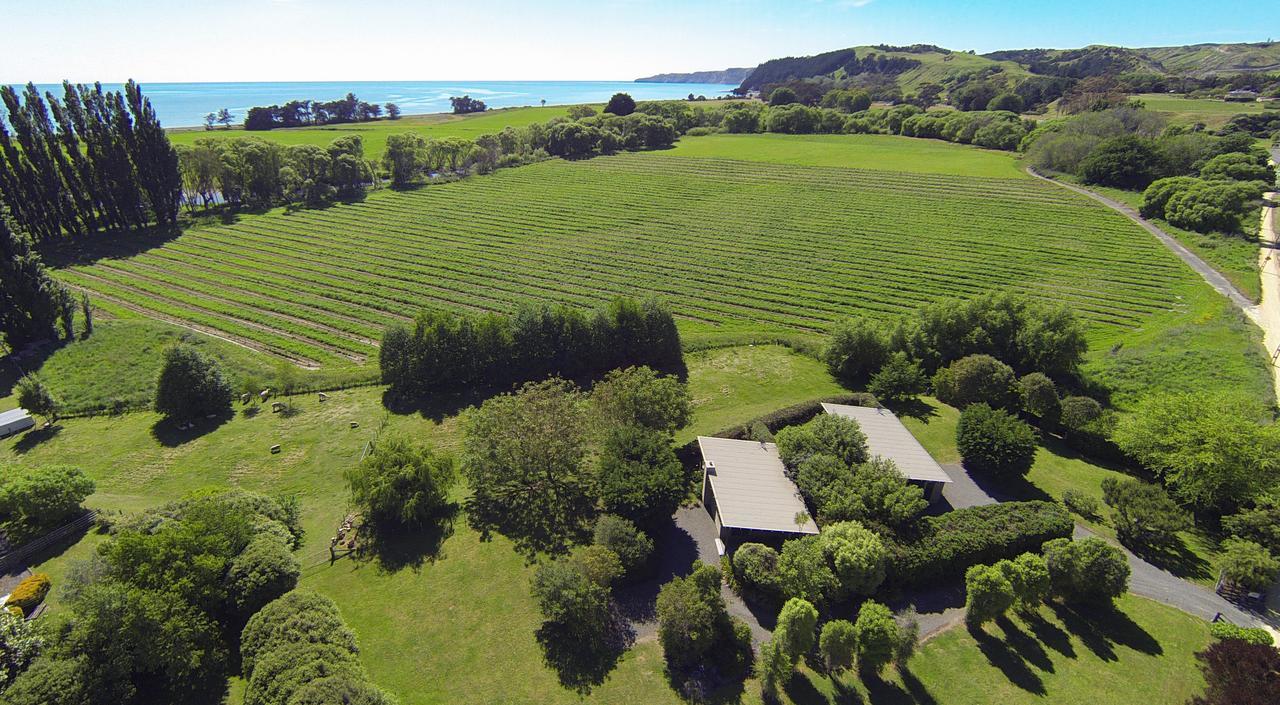 Te Awanga Cottages Kültér fotó